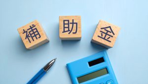 2025年の最新情報をもとに、事業計画を検討する中小企業の経営者を想定した、補助金・助成金のイメージ