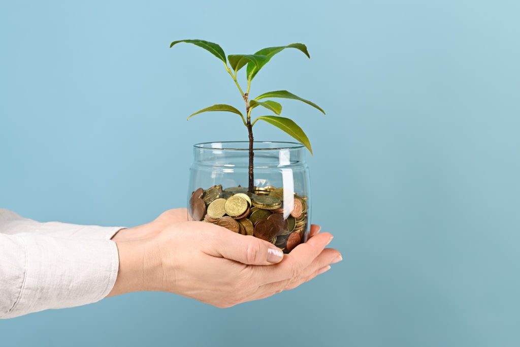 請求書の立替払いサービスを活用し確保した資金が事業の成長につながることをイメージさせる植物と硬貨