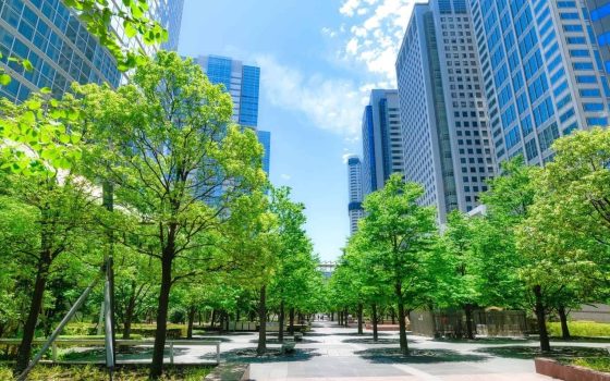 商号（社名）の決め方を解説する記事のメイン画像。オフィスビル群と青々とした木々が広がっている