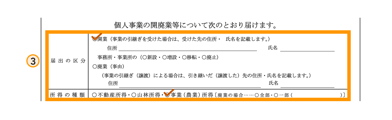 開業届の書き方ステップ3（届出の区分・所得の種類）の拡大図